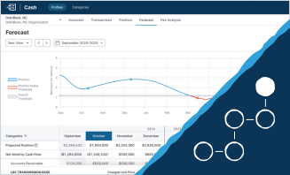 Cash - Forecasting